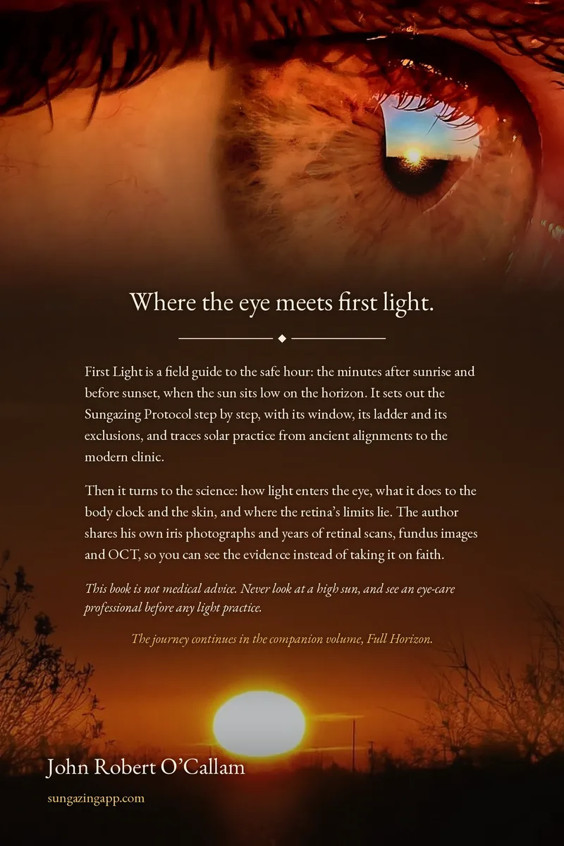 First Light: The Safe Hour — back cover